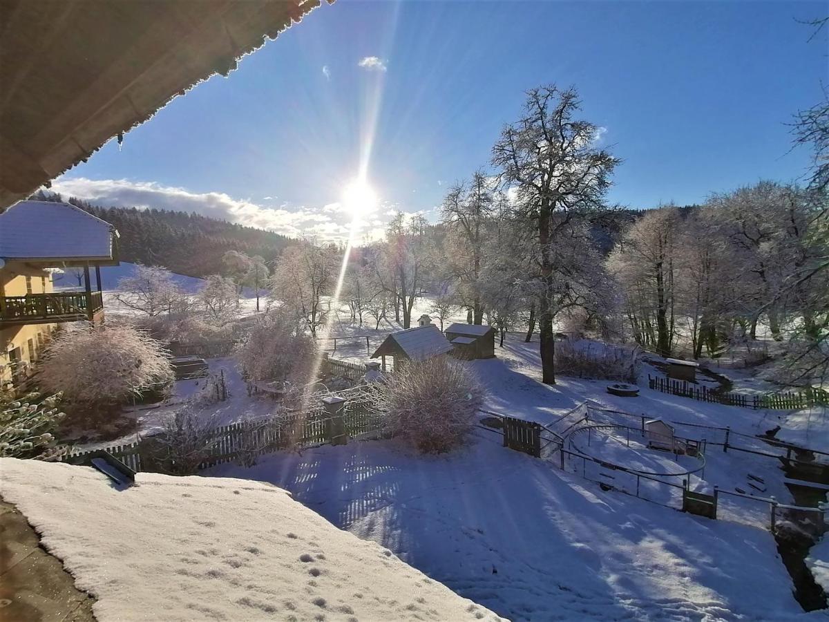Staudachhof Lägenhet Althofen  Exteriör bild