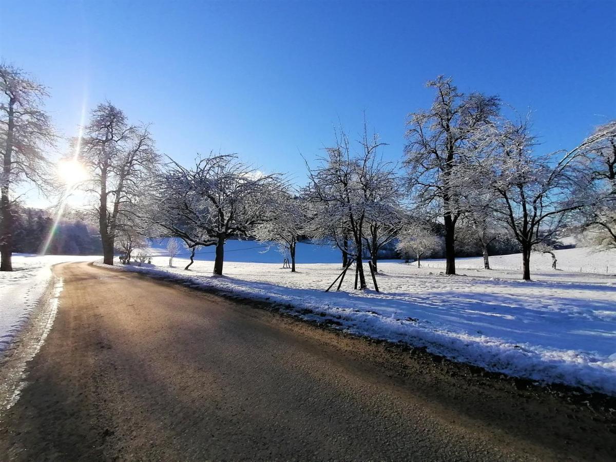 Staudachhof Lägenhet Althofen  Exteriör bild