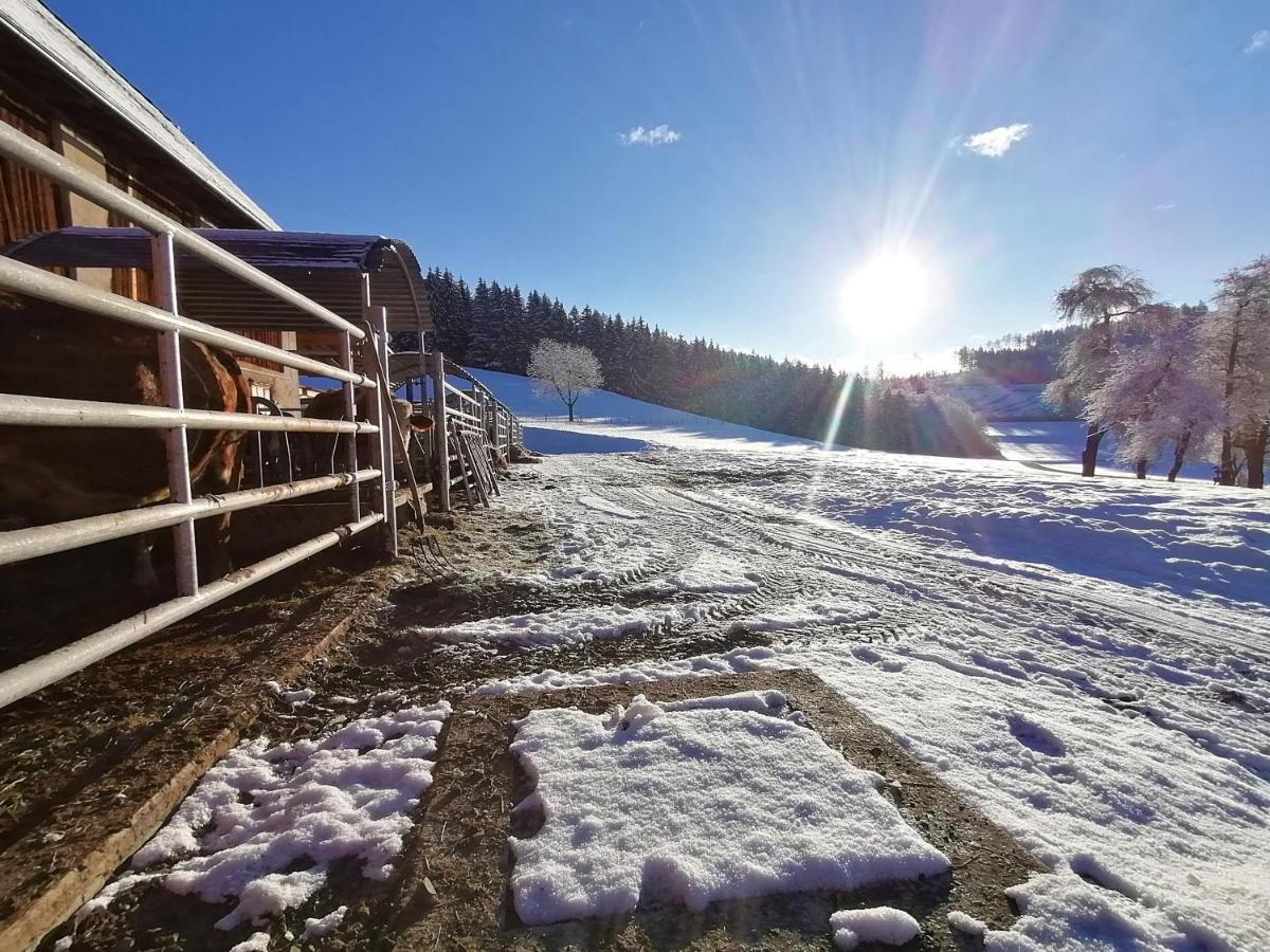 Staudachhof Lägenhet Althofen  Exteriör bild