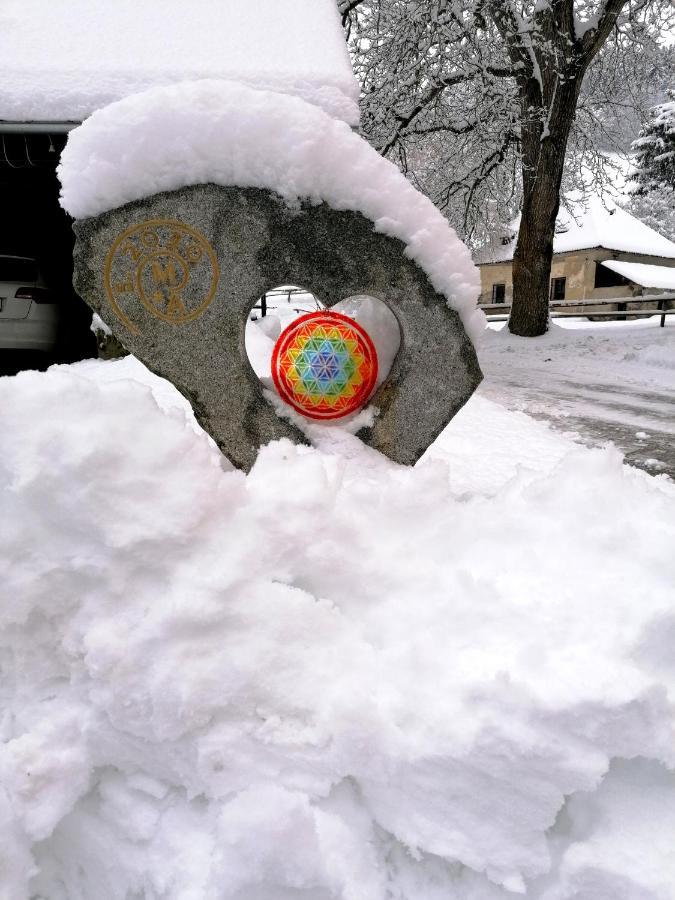 Staudachhof Lägenhet Althofen  Exteriör bild